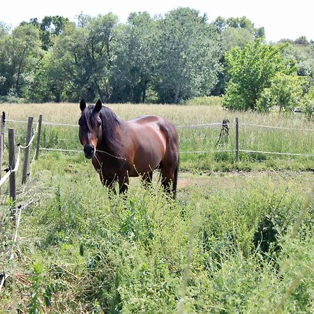 Lobilum En Camargue Saint-Martin-de-Crau Exterior foto
