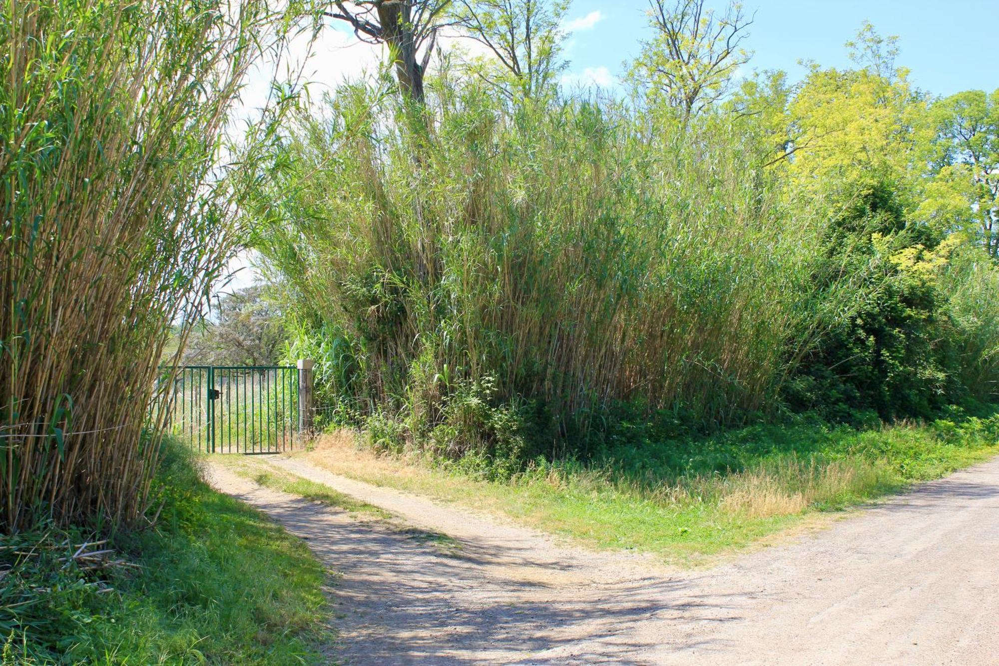 Lobilum En Camargue Saint-Martin-de-Crau Exterior foto